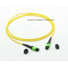 MPO-MPO 12cores Siglemode Optical Fiber Patchcord